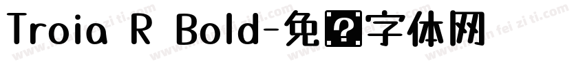 Troia R Bold字体转换